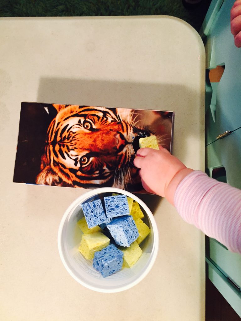 Tiger sorter with sponge pieces, Tuesday box of activities, play ideas for toddlers, activities for one year old, montessori activities for a toddler, development promoting activities for toddlers, activities for 13 month old, activities for 14 month old, activities for 15 month old, activities for 16 month old, activities for 17 month old, activities for 18 month old, activities for a toddler, activities for one year olds, activities for two year olds 