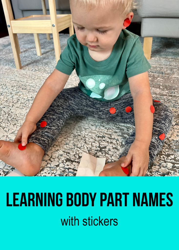 learning body part names, baby activities, diy baby games, activities for one year olds, games for one year olds, games for toddlers, things to do with one year olds, activities for 15 month olds, activities for 16 month olds, activities for 17 month olds, activities for 1.5 year olds, things to do with toddlers, activities for 19 month olds, activities for 20 month olds, activities for 18 month olds